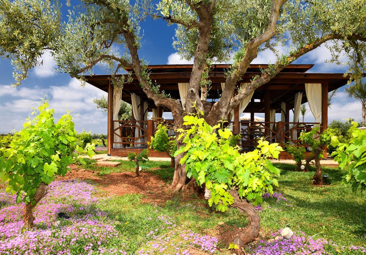 Chateau Roslane Boutique Hotel & Spa Meknès Екстериор снимка